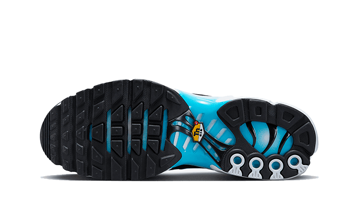 Nike® Air Max Plus Baltic Blue